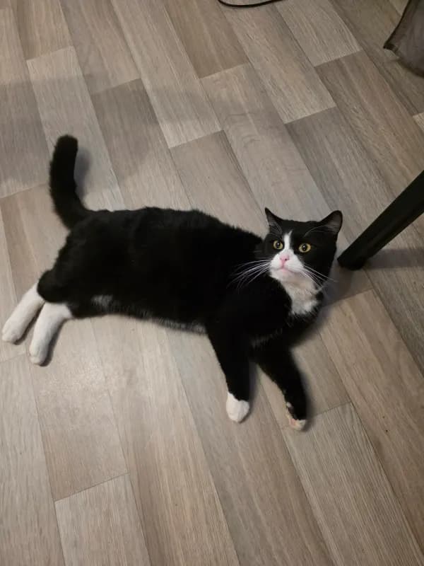 Peter