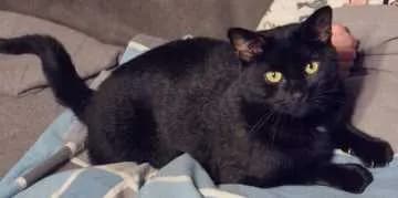 Blacky