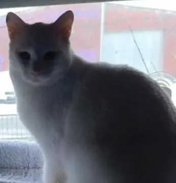 Kater