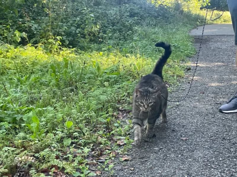 Kiki