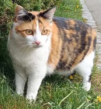 Lucie