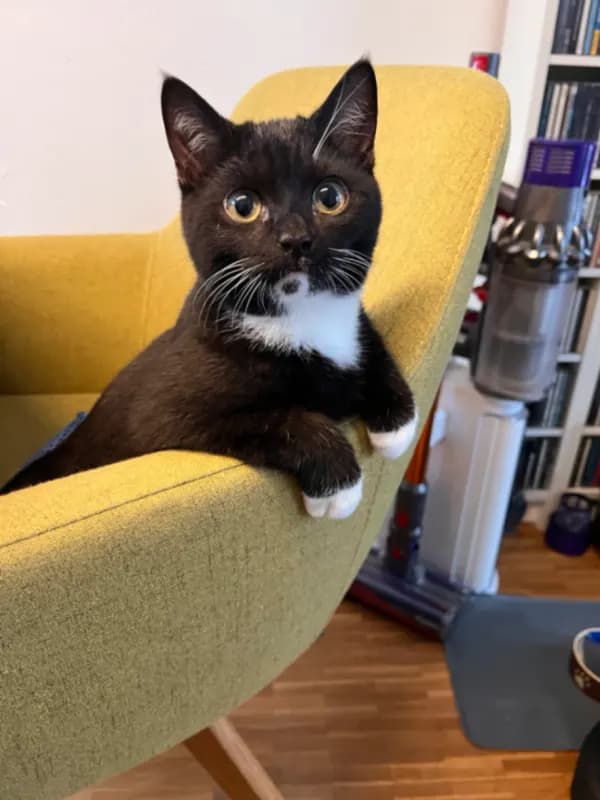 Milo