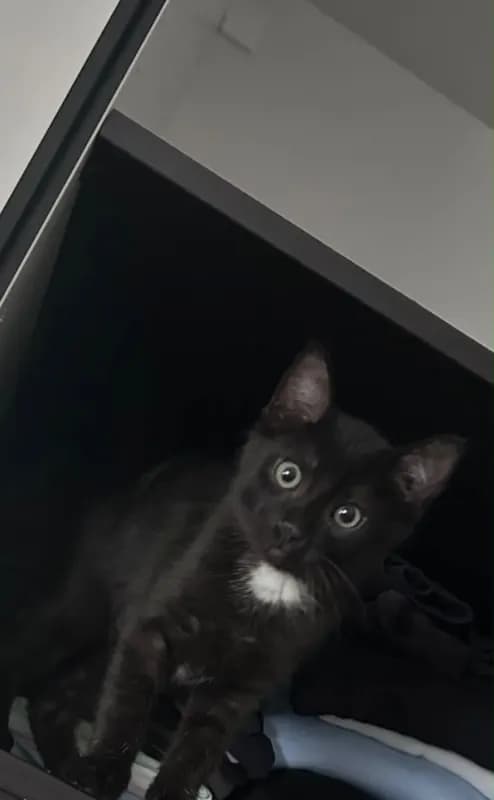 Leo
