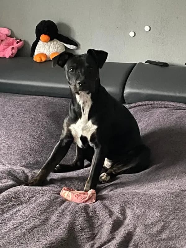 Coco
