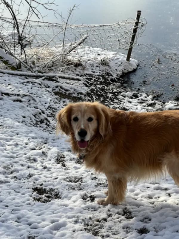 Charlie