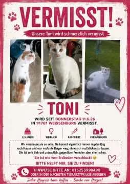 Toni