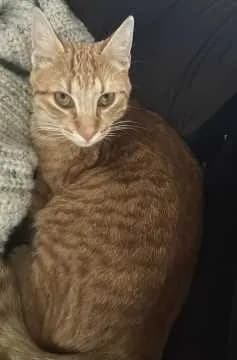 Leo