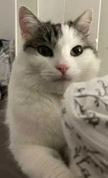 Mia