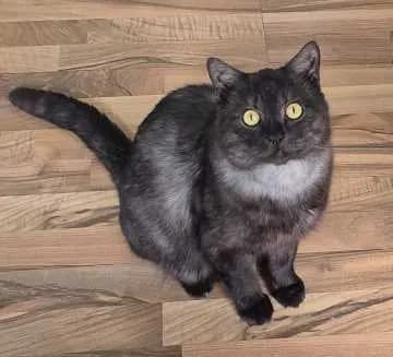 Zeus Baxter