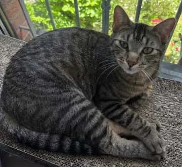Diego
