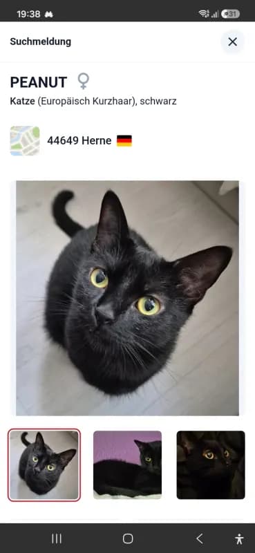 Peanut