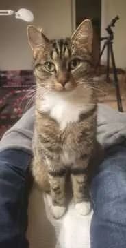 Lilly
