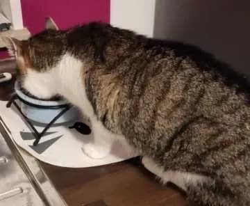Mia