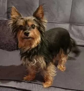 Bella