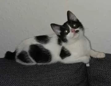 Peter