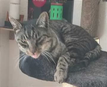 Sam