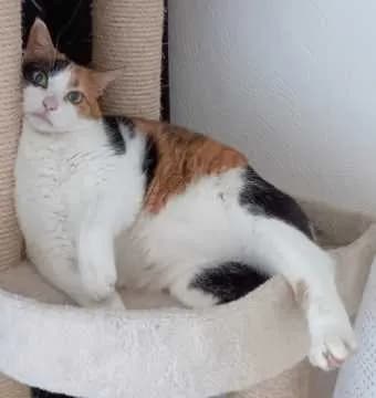 Lilly Mäuschen