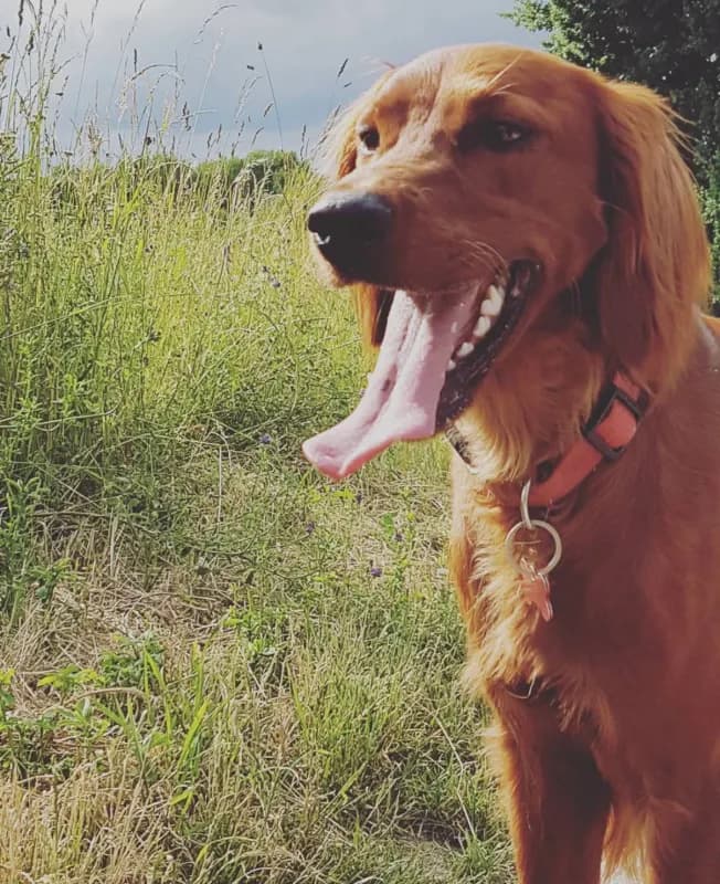 Bella