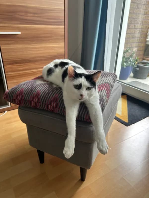 Luna