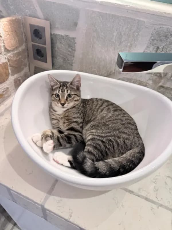 Kiki
