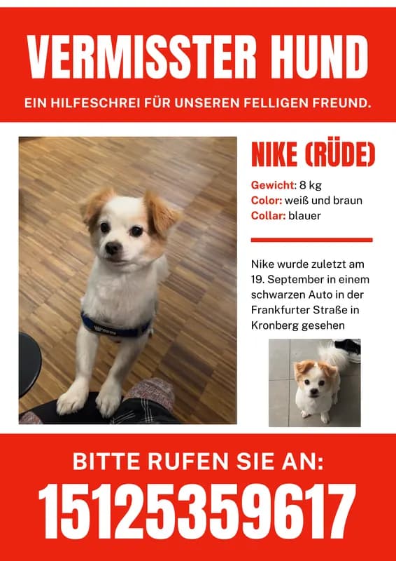 Nike