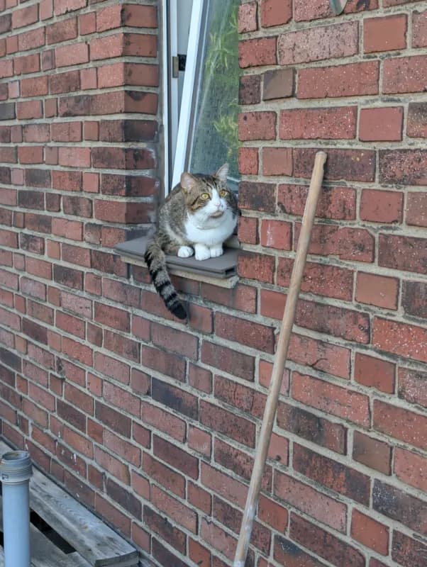 Flauschbertus
