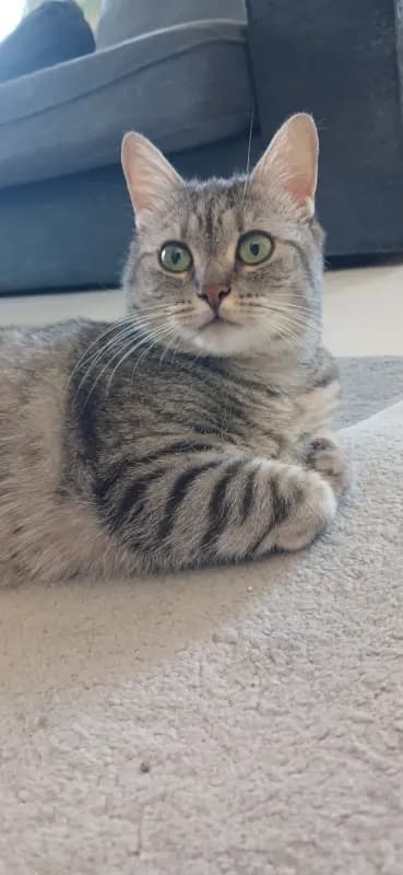 Kira