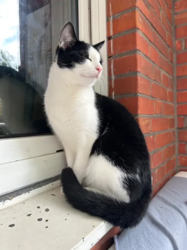 Jinx