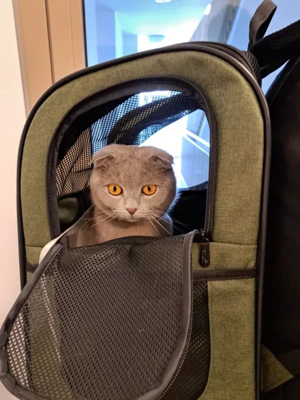 Schrödinger