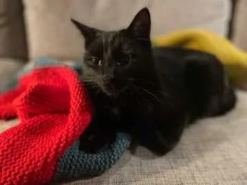 Atari