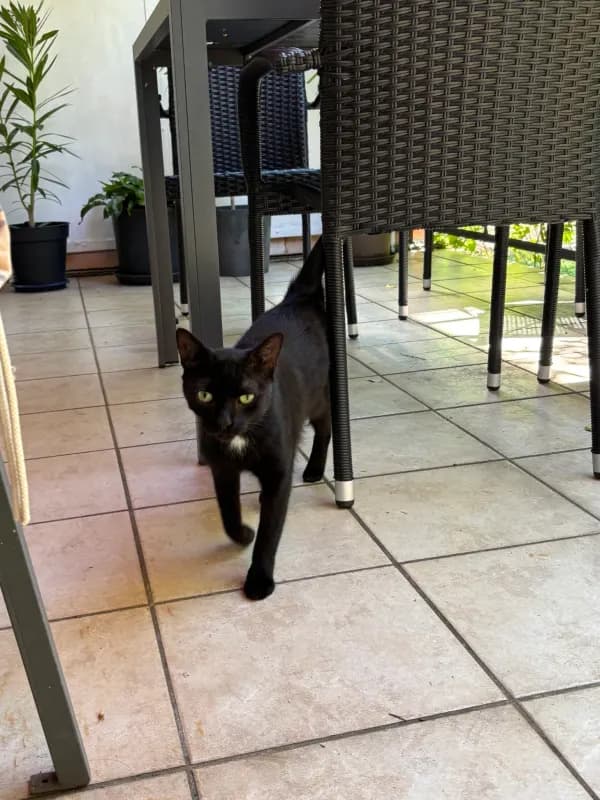 Zoe