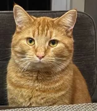 Murphy