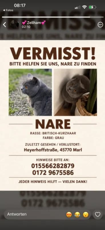 Nare