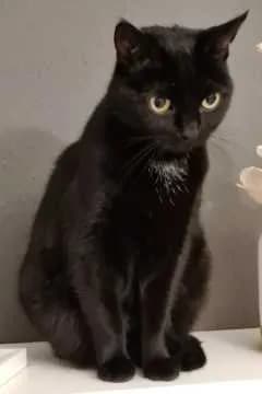 Felicitas