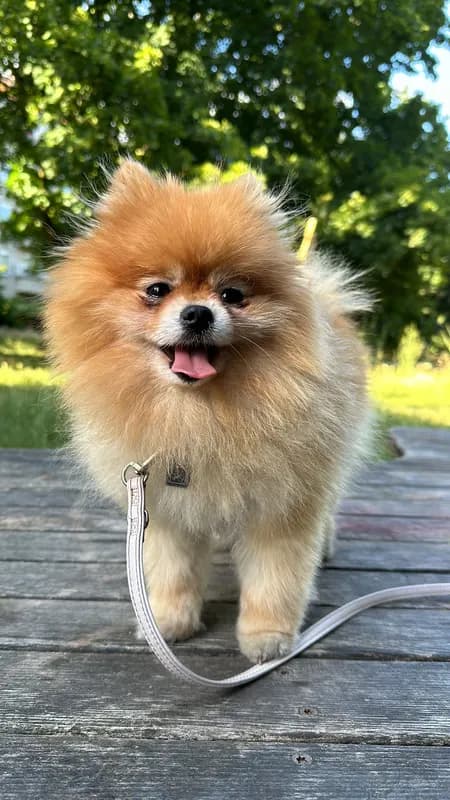 Abby