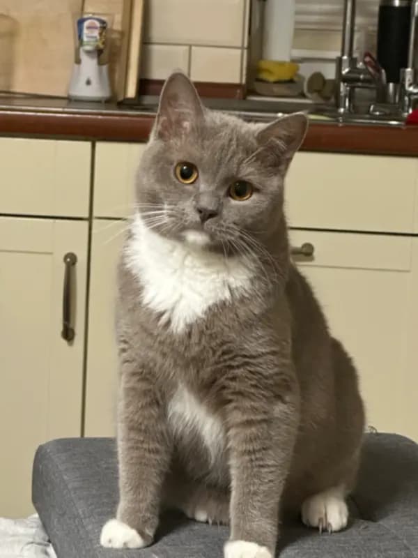 Monty