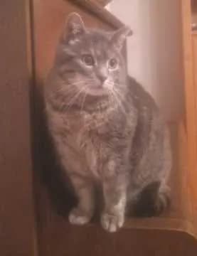 Ed