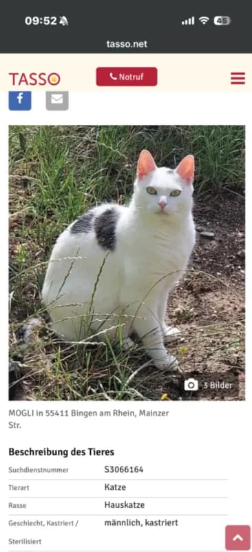 Mogli