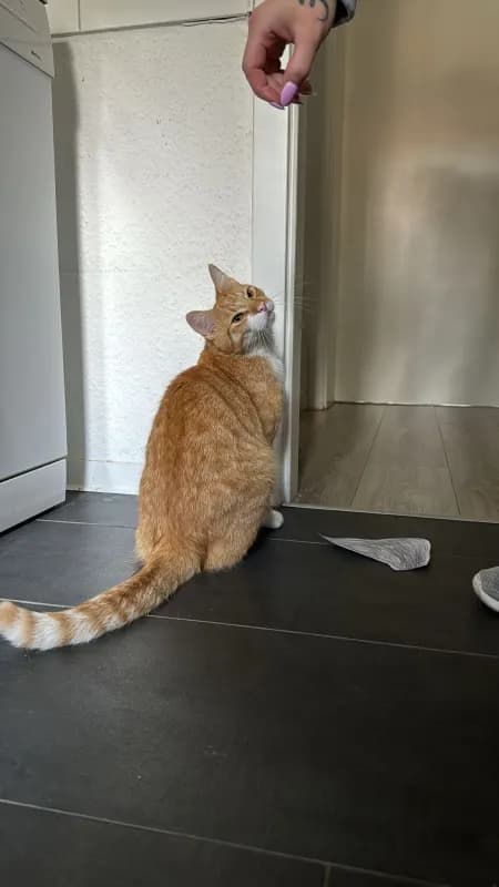 Lenny