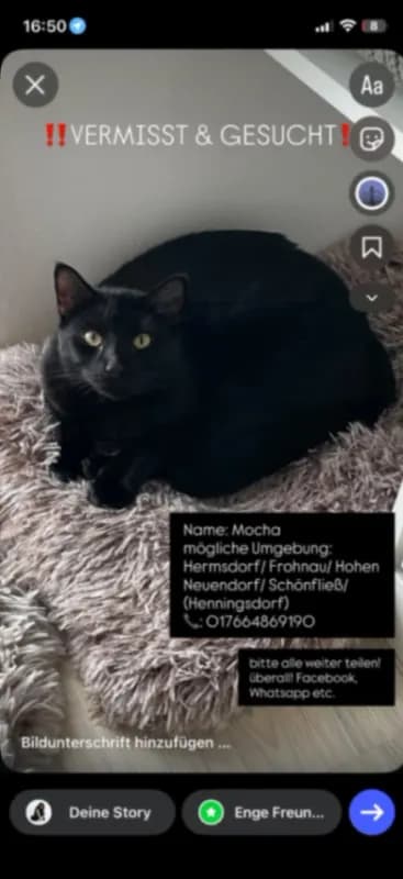 Mocha
