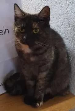 Lucy