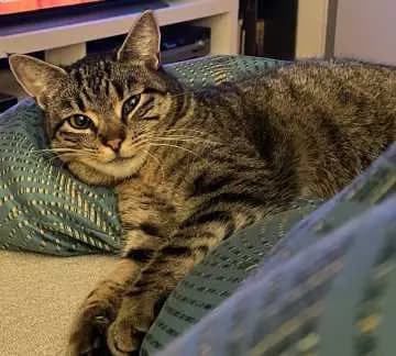 Carla