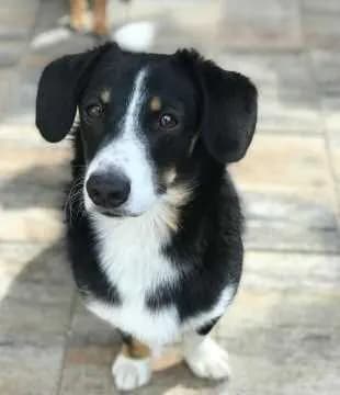 Lenny