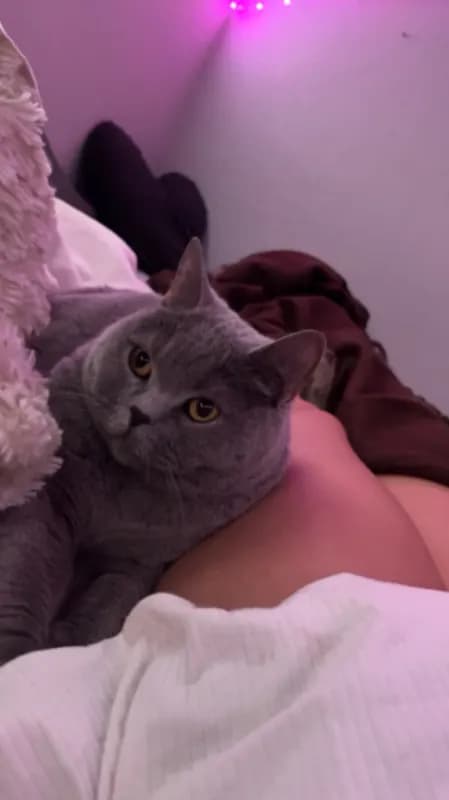 Peaches