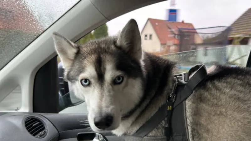 Ares