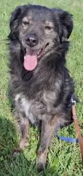 Jascha