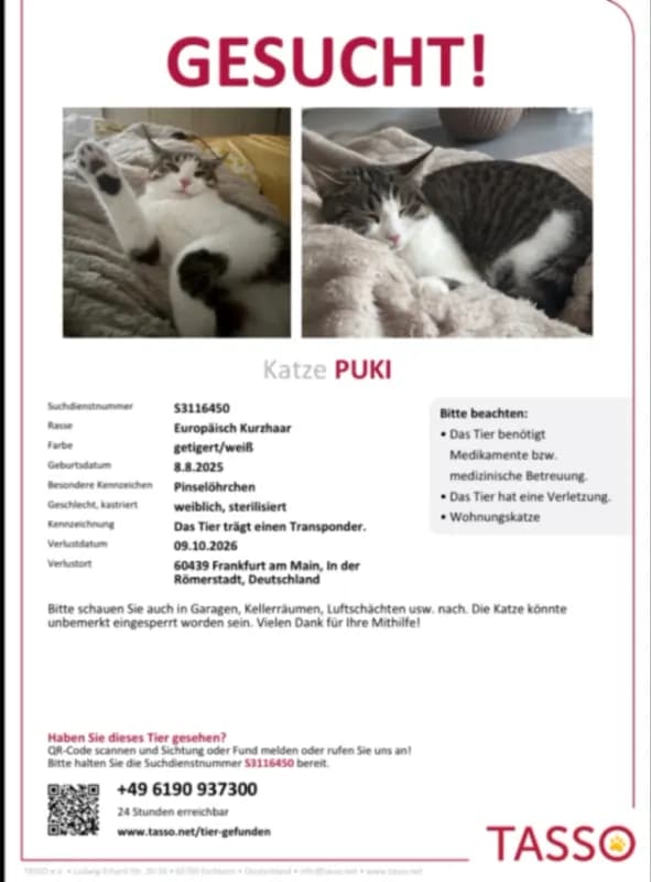 Puki