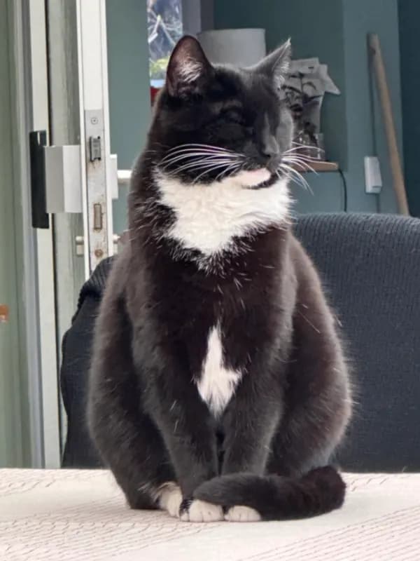 Mimi / Mietzie
