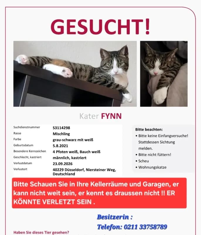 Fynn