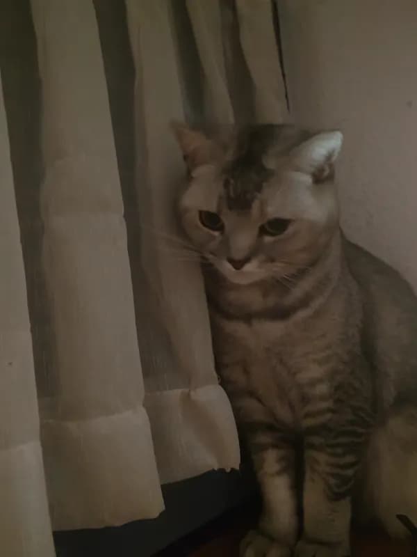Hunter